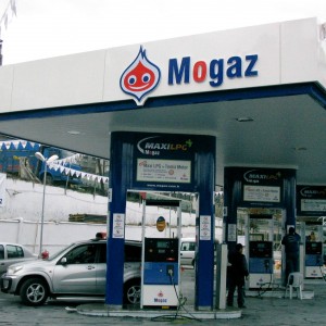 mogaz8